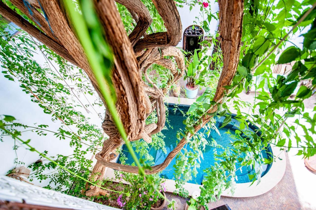 Hotel & Spa Riad Dar El Aila Marrakesh Exterior photo
